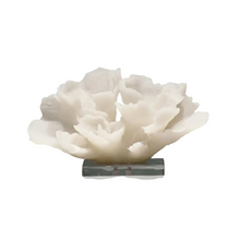 Load image into Gallery viewer, Decorative Faux Coral Sculpture تمثال مجاني مزخرف