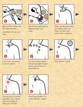 Load image into Gallery viewer, Pain Relief Patch ضمادات لتسكين الالم