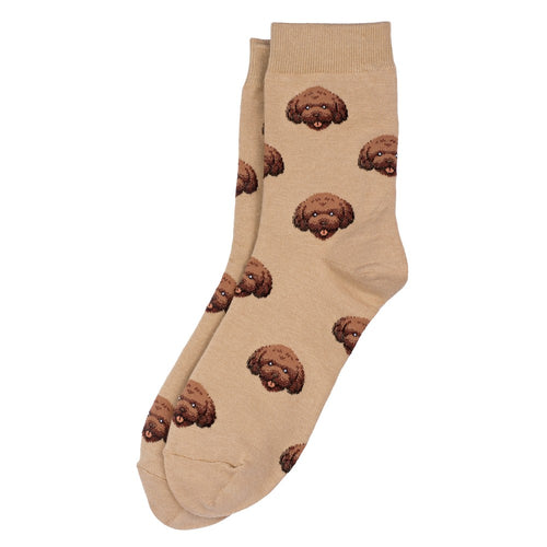 Socks الجوارب