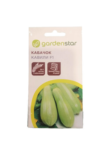 Seeds بذور