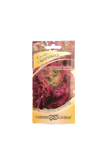 Seeds بذور