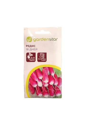 Seeds بذور