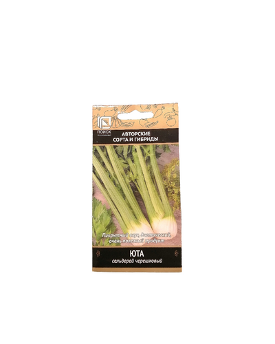 Seeds بذور