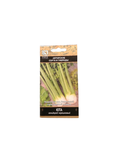 Seeds بذور