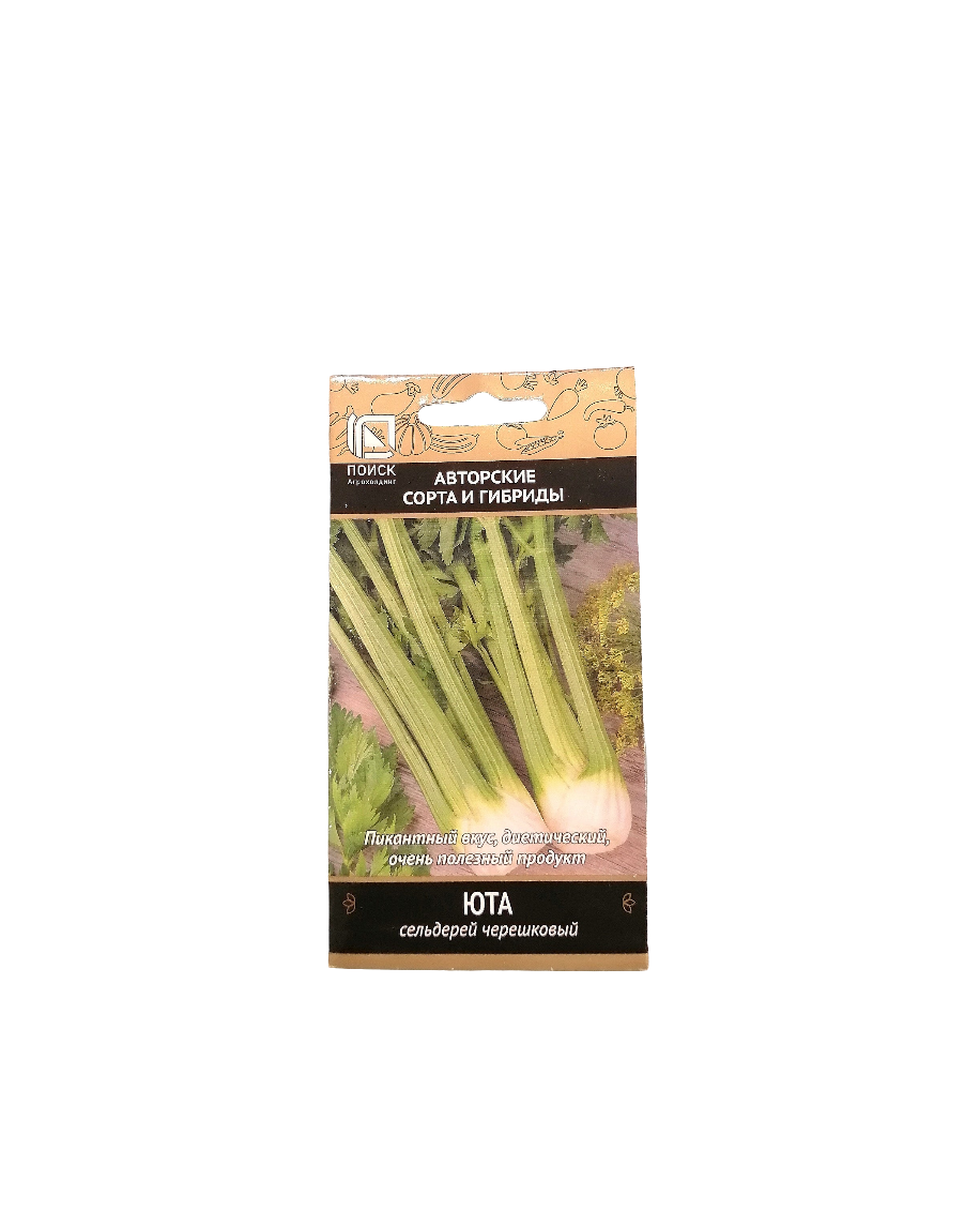 Seeds بذور