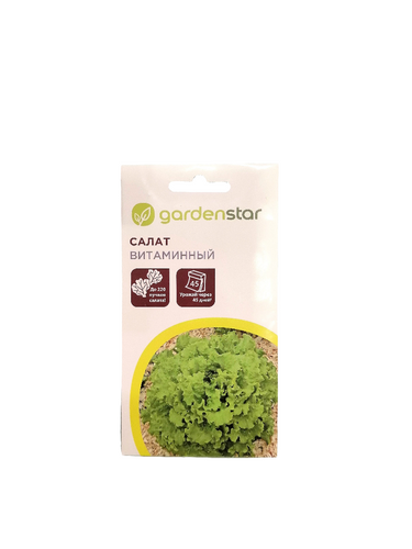Seeds بذور