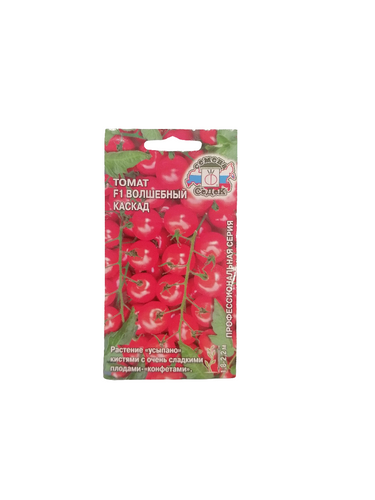 Seeds بذور