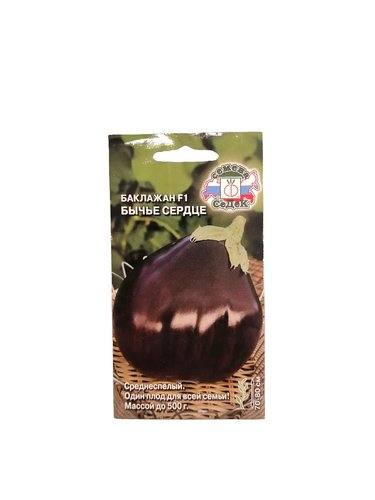Seeds بذور