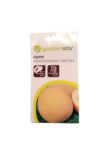 Seeds بذور