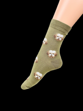 Load image into Gallery viewer, Socks الجوارب