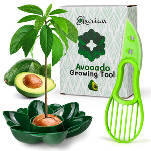 Avocado Growing Tool أداة زراعة الأفوكادو