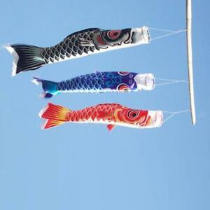 Wind Socks طائرة ورقية