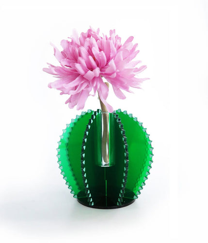 Cactus Vase مزهرية بلاستك