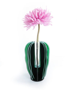 Cactus Vase مزهريه