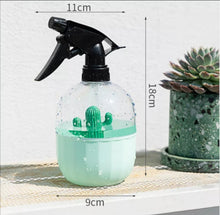 Load image into Gallery viewer, Cactus Spray Bottle علبة سبري